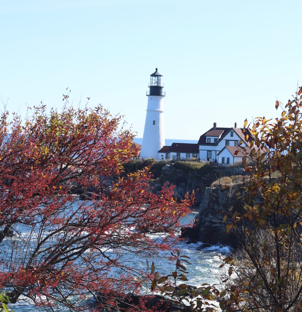 Delightfully chasing the leaves, closing the season!! - The Mainechica